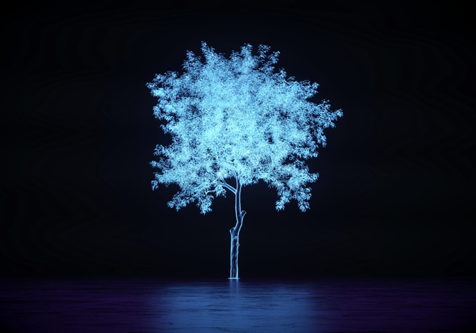 NN Narrative Tracker